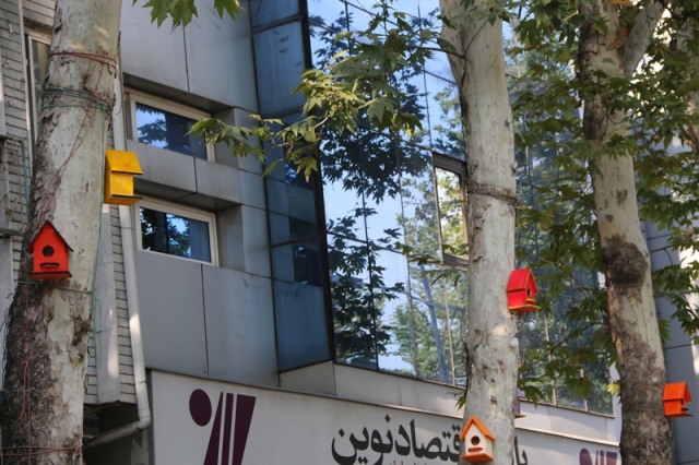 لانه های چوبی پرندگان در شهر لاهیجان نصب می شود
